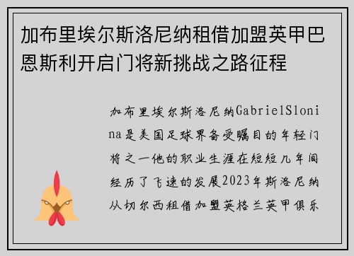 加布里埃尔斯洛尼纳租借加盟英甲巴恩斯利开启门将新挑战之路征程